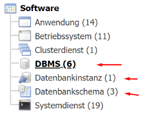 DBMS