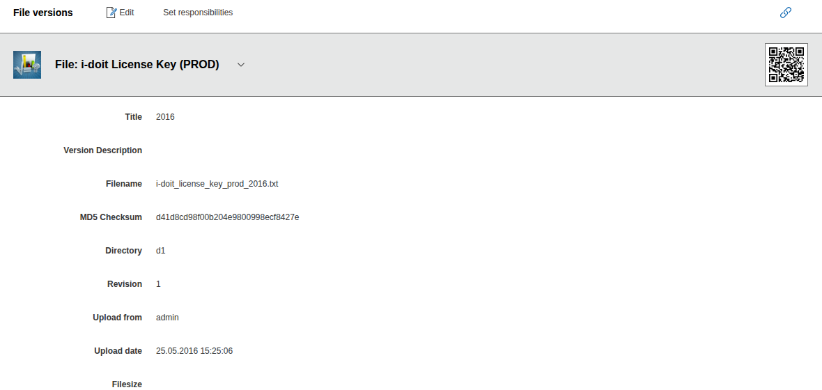 File versions